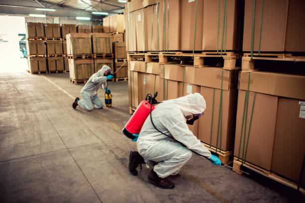 Best Pest Inspection Near Me  in West Miami, FL