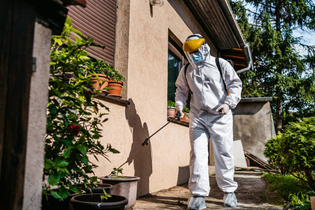 Best Bed Bug Extermination  in West Miami, FL