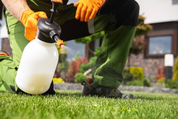 Best Commercial Pest Control Services  in West Miami, FL