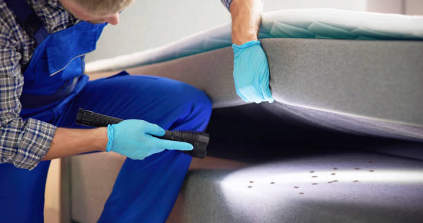 Best Affordable Pest Control Services  in West Miami, FL
