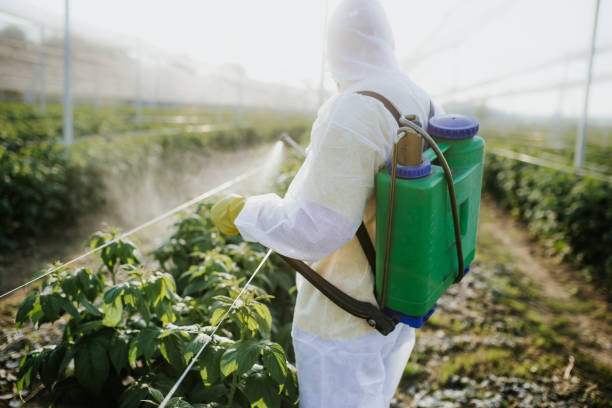 Best Cockroach Control Services  in West Miami, FL